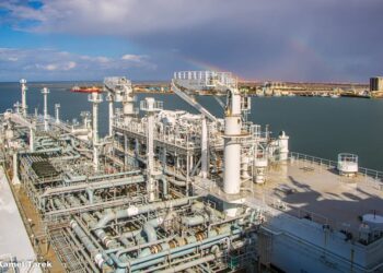 بينهم 15500 طن ذرة.. ميناء دمياط يستقبل 29216 طن من البضائع