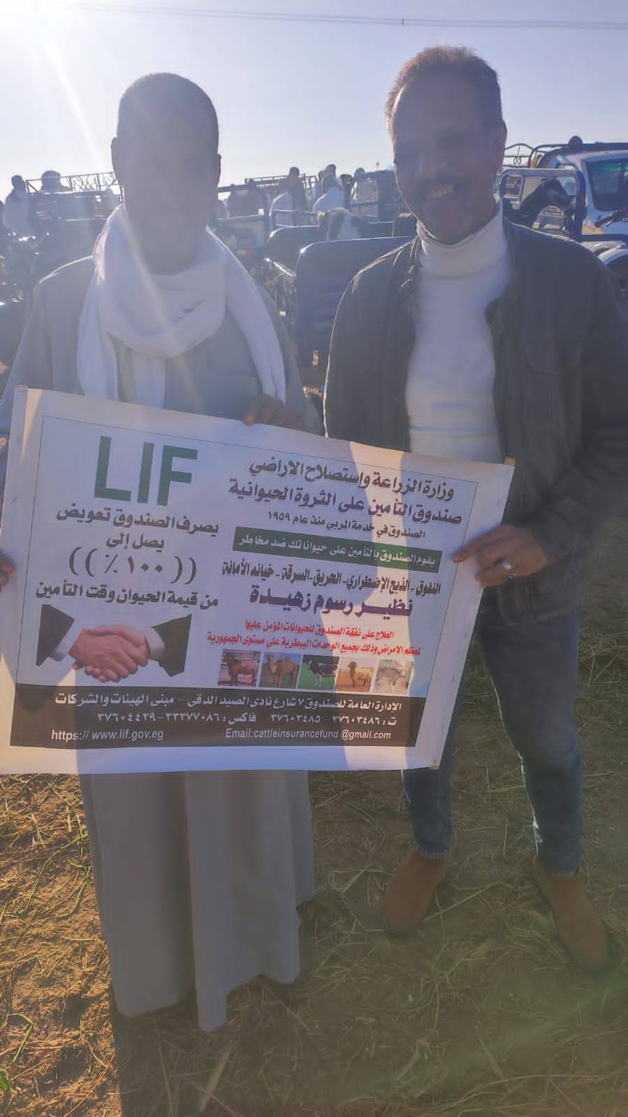 الثروة الحيوانية: تطوير نظام حماية مالية شامل يعوض المربين عن الخسائر الناتجة عن النفوق