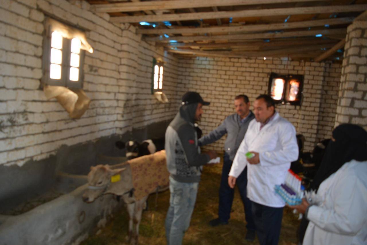 "بحوث الصحراء" يطلق قوافل إرشادية وبيطرية لدعم مربي الثروة الحيوانية بمنطقة المغرة