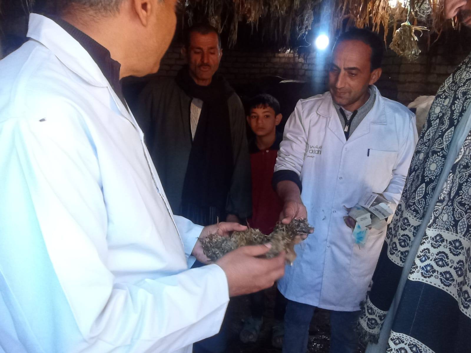 الزراعة: الحالة الوبائية مستقرة ولم نسجل أي إصابات نشطة بالأمراض الوبائية