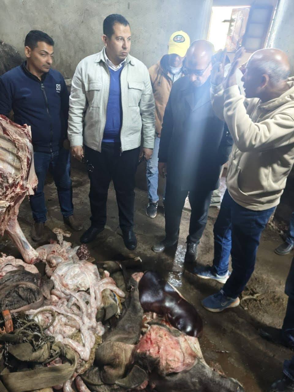 "الخدمات البيطرية" تضبط سلخانة غير مرخصة وأختام مزورة و1.8 طن لحوم فاسدة بالمنوفية