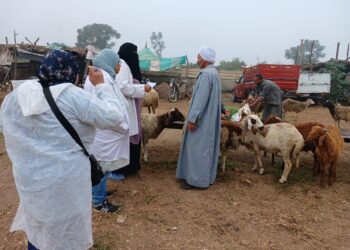 "الزراعة" تنفذ حزمة أنشطة موسعة للتقصي والترصد الوبائي للأمراض بجميع المحافظات خلال نوفمبر