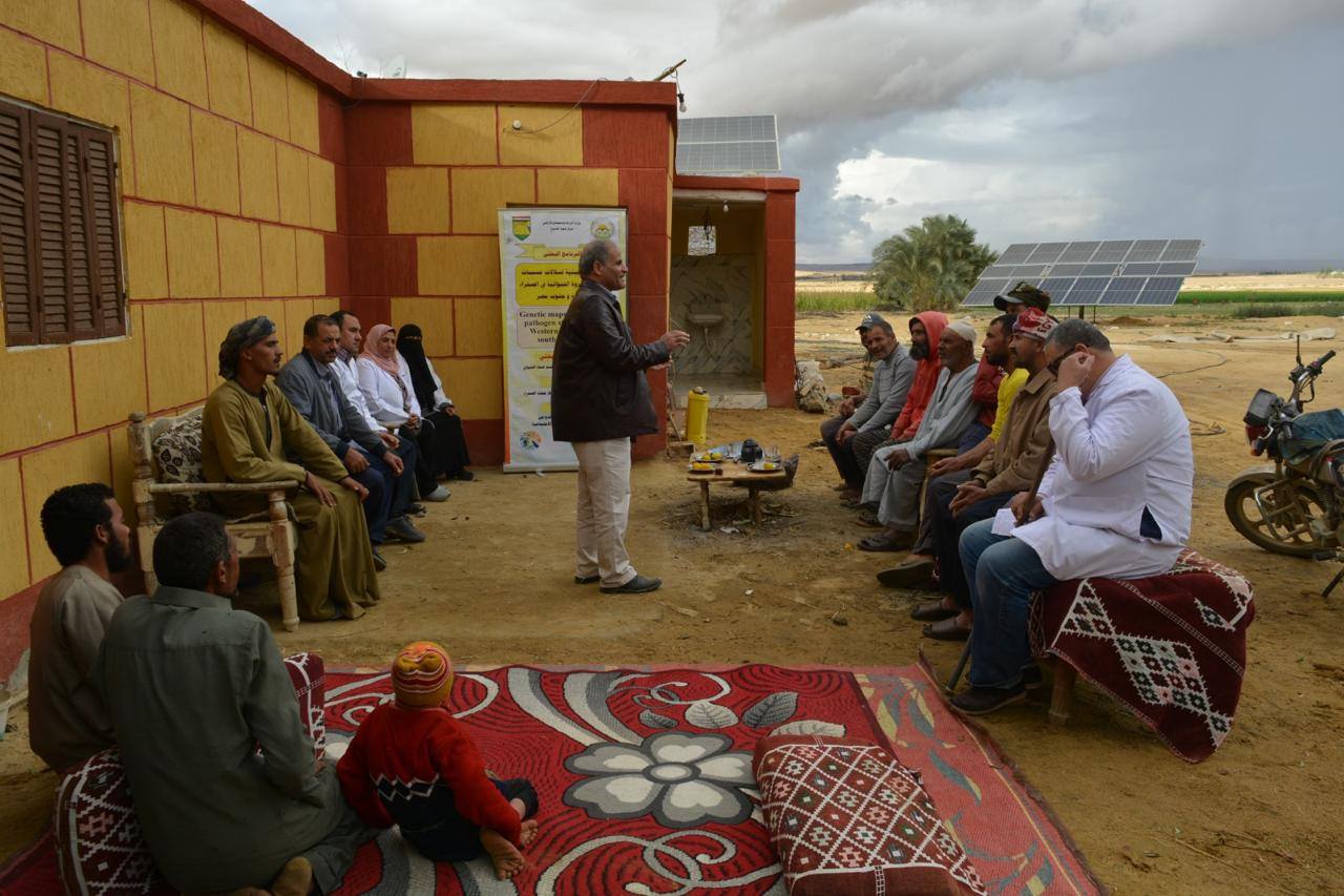 "بحوث الصحراء" يطلق قوافل إرشادية وبيطرية لدعم مربي الثروة الحيوانية بمنطقة المغرة