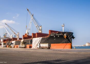 ميناء دمياط يستقبل 26700 طن ذرة و 10895 طن قمح