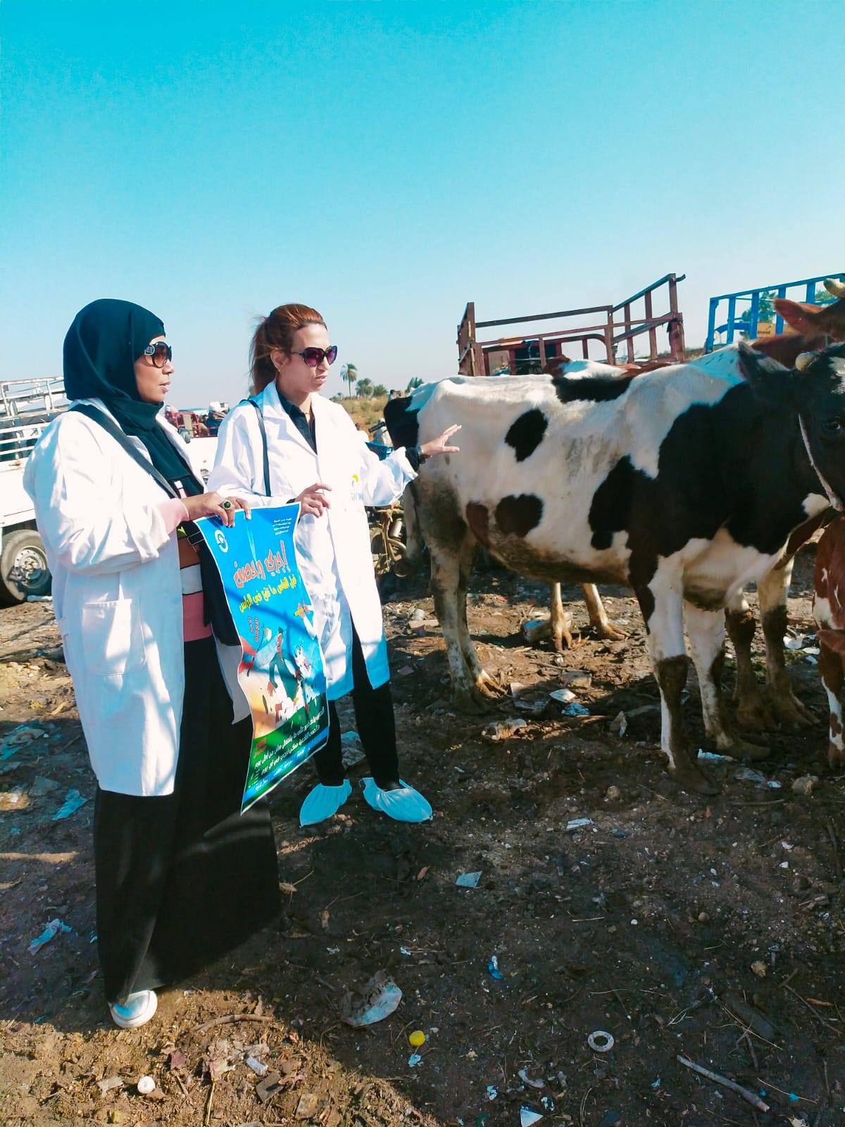 "الزراعة": تحصين الماشية بأكثر من 8.5 مليون جرعة للقاحي الحمى القلاعية