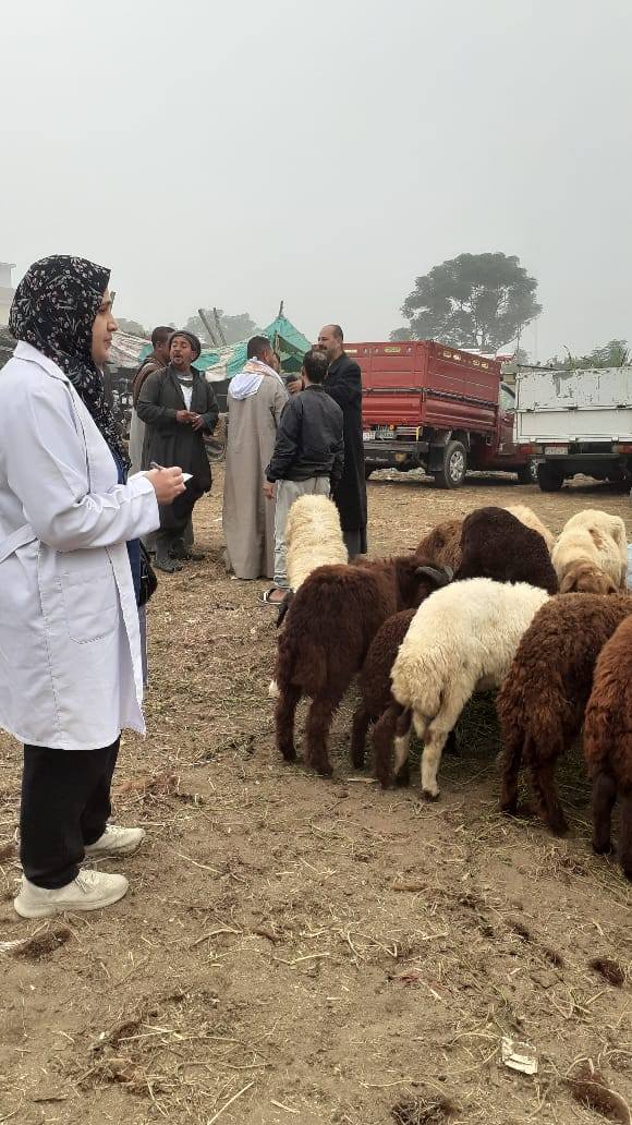 "الزراعة" تنفذ حزمة أنشطة موسعة للتقصي والترصد الوبائي للأمراض بجميع المحافظات خلال نوفمبر