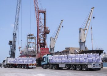 ميناء دمياط يستقبل 42948 طن ذرة و 4635 طن قمح