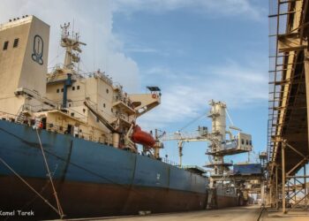 ميناء دمياط يستقبل 44040 طن ذرة و 2342 طن قمح