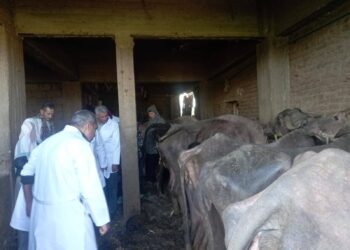 الزراعة: الحالة الوبائية مستقرة ولم نسجل أي إصابات نشطة بالأمراض الوبائية