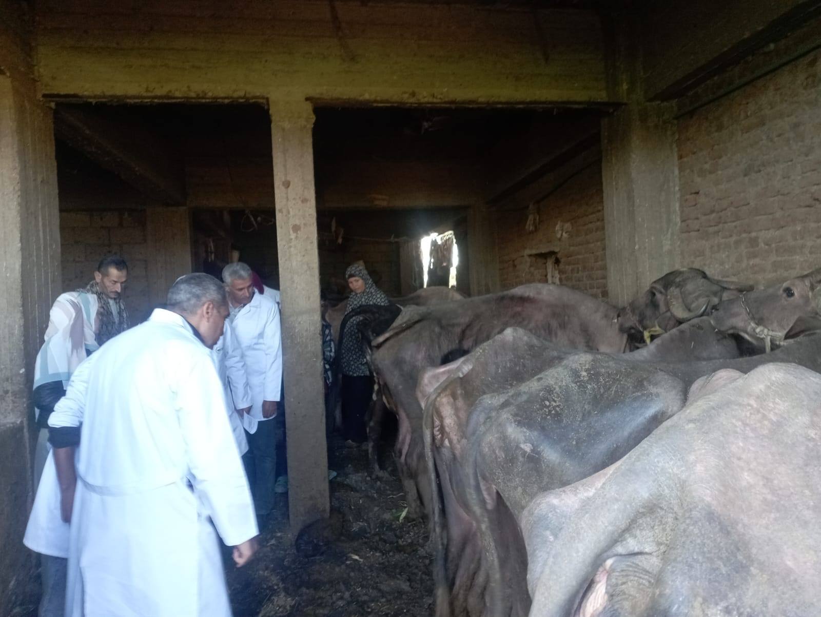 الزراعة: الحالة الوبائية مستقرة ولم نسجل أي إصابات نشطة بالأمراض الوبائية