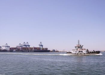 ميناء دمياط يستقبل 39165 طن ذرة و 3495 طن كسب عباد