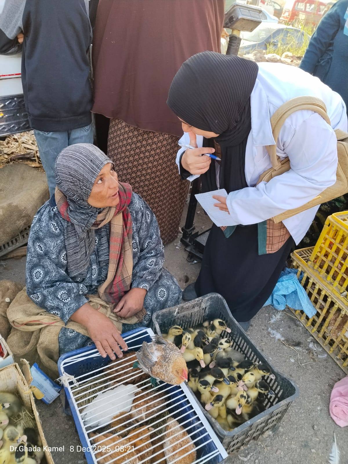 "الزراعة" تنفذ حزمة أنشطة موسعة للتقصي والترصد الوبائي للأمراض بجميع المحافظات خلال نوفمبر