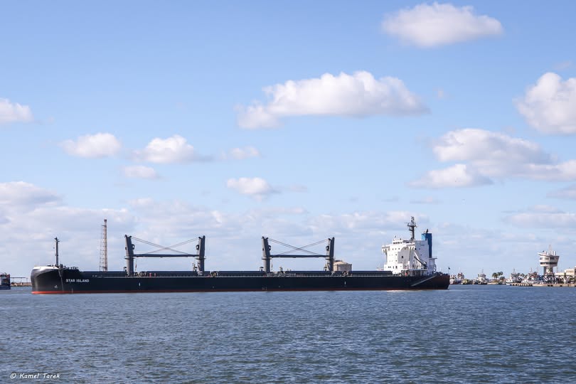 ميناء دمياط يستقبل 26886 طن ذرة و 2500 طن كسب عباد