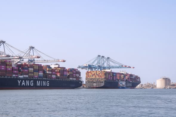 ميناء دمياط يستقبل 33553 طن ذرة و 11837 طن قمح