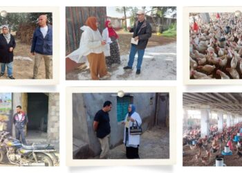 لدعم 100 ألف مربي.. "الزراعة" تنفذ أكثر من 8600 ندوة إرشادية بيطرية خلال نوفمبر