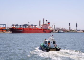 ميناء دمياط يستقبل 22760 طن ذرة و 12550 طن قمح