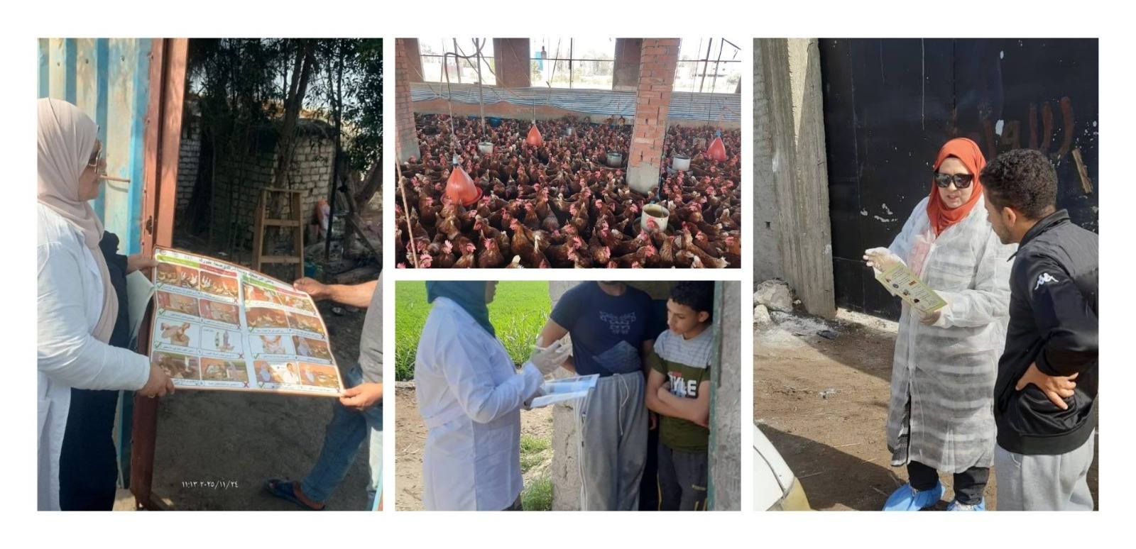 لدعم 100 ألف مربي.. "الزراعة" تنفذ أكثر من 8600 ندوة إرشادية بيطرية خلال نوفمبر