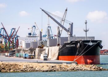 ميناء دمياط يستقبل و 5091 طن ذرة و 4203 طن قمح