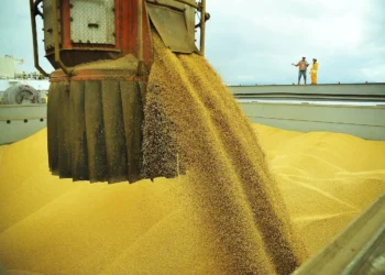 صادرات البرازيل من فول الصويا تقدر بـ 3.33 مليون طن في ديسمبر