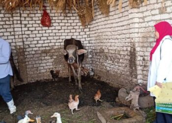 بيطري سوهاج تعقد ندوات حول الحمى القلاعية والعترة الجديدة "سات 1"