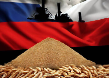 روسيا تمدد إعفاء القمح والذرة من رسوم التصدير لمدة أسبوع آخر