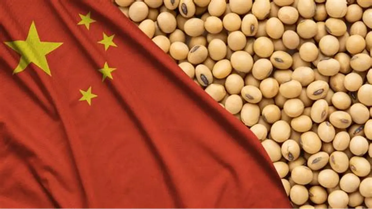 الصين تشتري فول الصويا الأمريكي والمشتريات تزيد خلال الأسبوع إلى 500 ألف طن