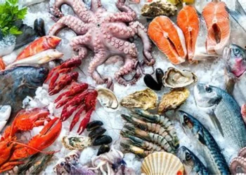 صادرات الهند من الأسماك ترتفع بنسبة 14% في الفترة من أبريل إلى أكتوبر