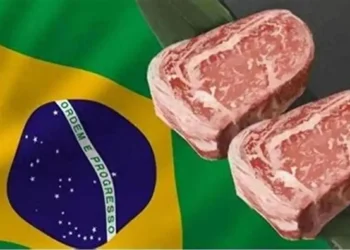 صادرات اللحوم البقرية البرازيلية ترتفع في نوفمبر بزيادة 39.6٪ في الحجم و57.9٪ بالإيرادات