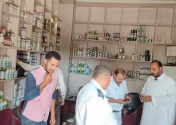 حملات تفتيش