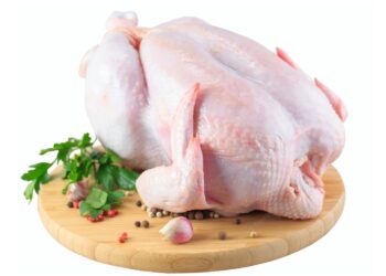 الفراخ السردة