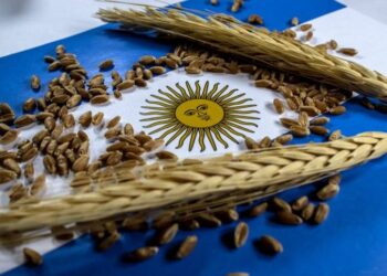 الأرجنتين تخفض الرسوم الجمركية على صادرات الحبوب