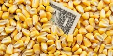 العقود الآجلة للذرة