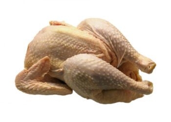 الأردن يتوقف عن استيراد الدواجن المجمدة لدعم الإنتاج المحلي