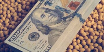 العقود الآجلة لفول الصويا تغلق تعاملات الثلاثاء على انخفاض وسط توقعات بمحصول كبير في أمريكا الجنوبية