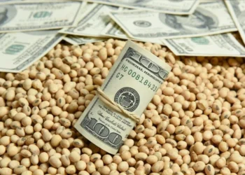 انخفاض أسعار فول الصويا العالمية في ختام تداولات الجمعة بسبب مخاوف الطلب ووفرة العرض