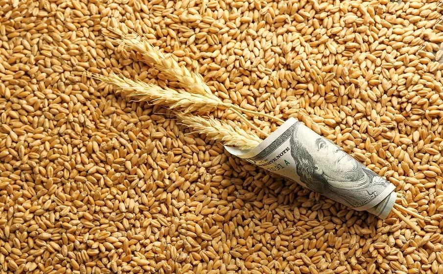 ارتفاع العقود الآجلة للقمح في ختام تداولات الثلاثاء بشكل طفيف