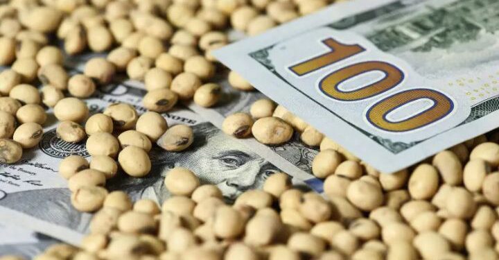 عقود الصويا