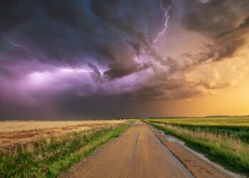 الطقس الملائم في البرازيل وأوكرانيا وأستراليا يضغط على أسعار فول الصويا والذرة بالأسابيع المقبلة