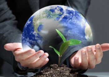 الأمم المتحدة: التجارة الزراعية العالمية ستزيد بنسبة 6% عام 2025