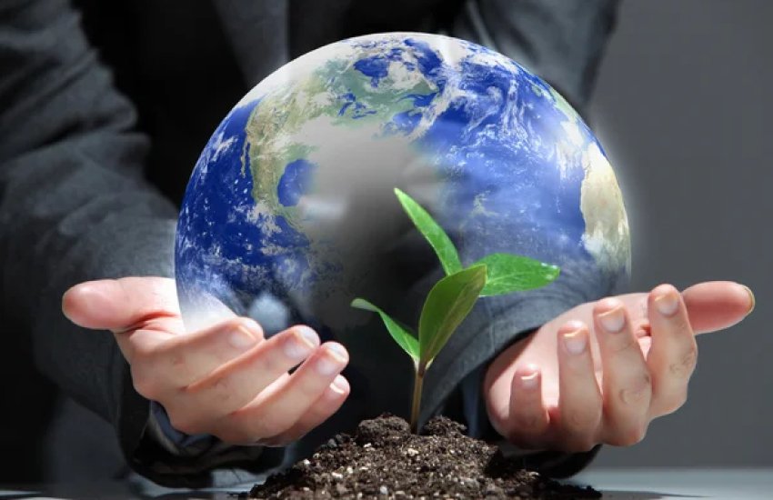 الأمم المتحدة: التجارة الزراعية العالمية ستزيد بنسبة 6% عام 2025