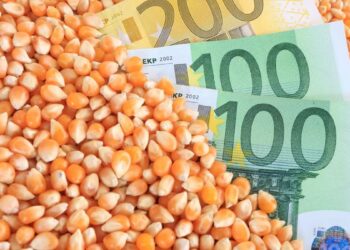 الصويا والقمح يثقلان كاهل الأسواق وأسعار الذرة العالمية تغلق يوم الثلاثاء على انخفاض