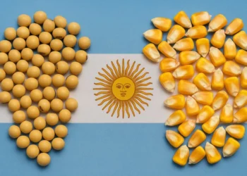 الأرجنتين تخفض الضرائب على صادرات الحبوب