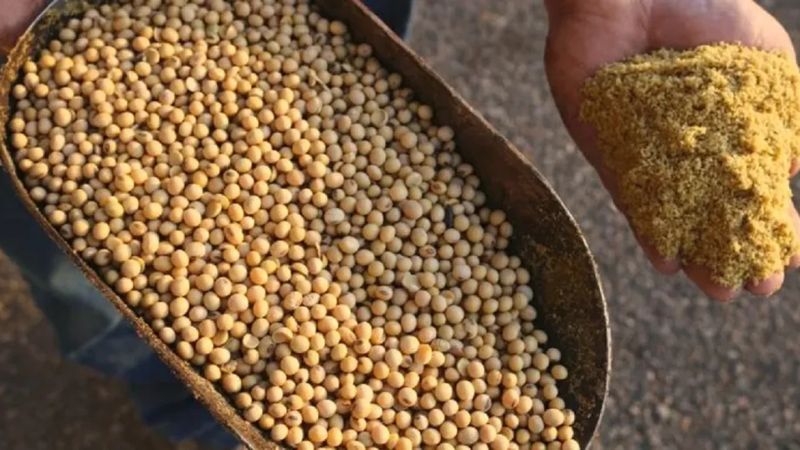 انخفاض حصة الاتحاد الأوروبي من صادرات الأرجنتين من 30% إلى 9.8% بسبب تراجع إمدادات كسب الصويا