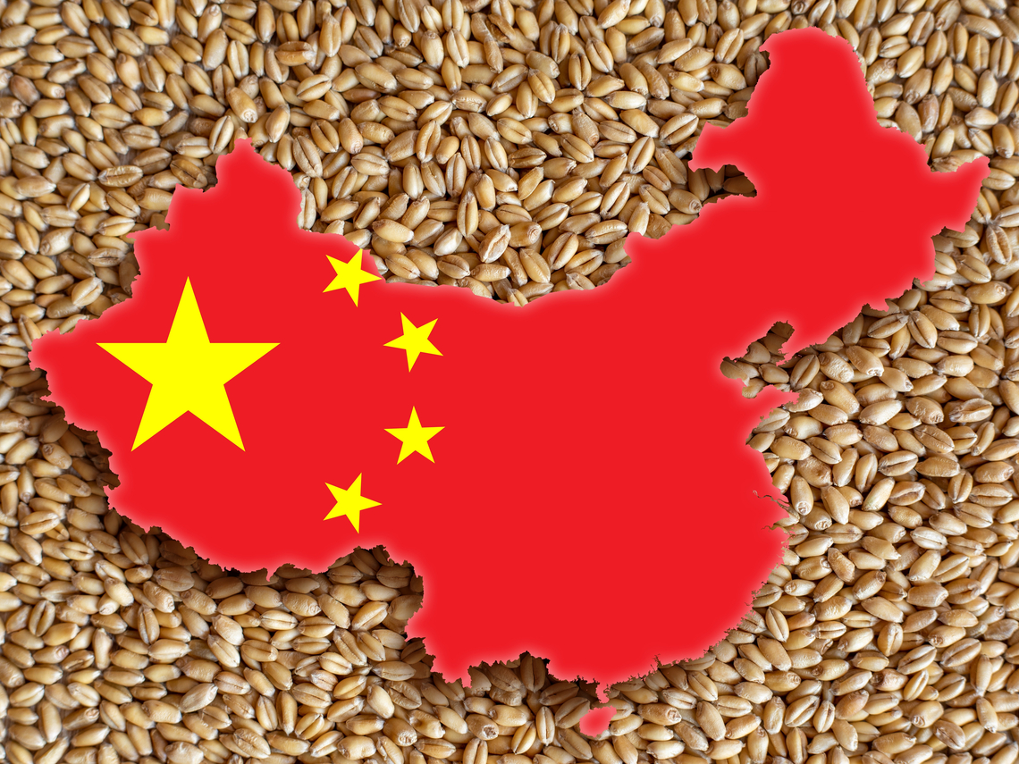 الصين تحطم الرقم القياسي في إنتاج الحبوب بعام 2025