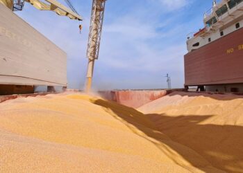 ارتفاع عمليات تفتيش صادرات الحبوب الأمريكية هذا الأسبوع