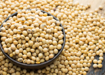 فول الصويا عند أدنى مستوى له منذ أكتوبر مع تصاعد التوترات بين الولايات المتحدة والصين