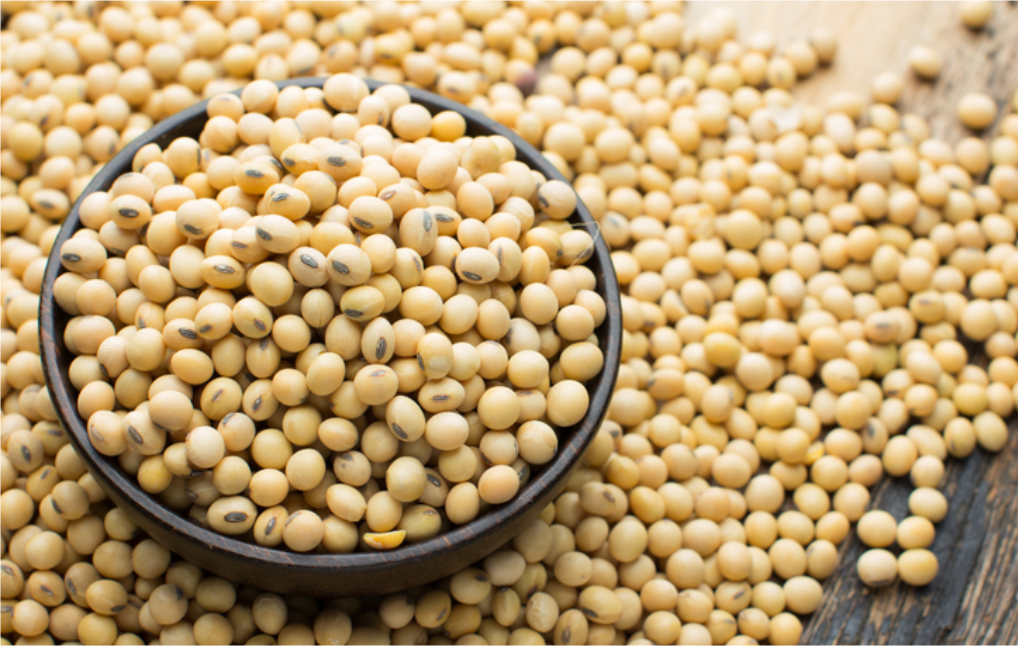 فول الصويا عند أدنى مستوى له منذ أكتوبر مع تصاعد التوترات بين الولايات المتحدة والصين