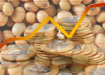 فول الصويا تكثف خسائرها وتسجل أدنى مستوى في 7 أسابيع في ختام تداولات الإثنين