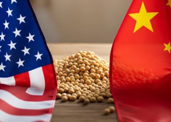 خبراء: الصين لن تتمكن من تلبية الطلب الأمريكي على فول الصويا