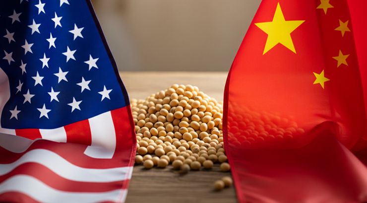 ترامب: الصين قادرة على شراء فول الصويا الأمريكي بأكثر من 40 مليار دولار